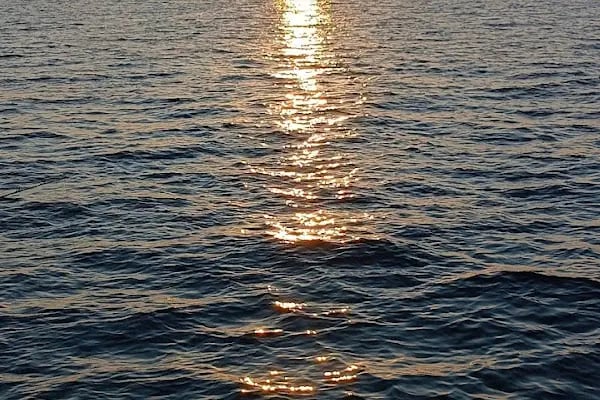 FOTO ÖZGÜR - Resim 4