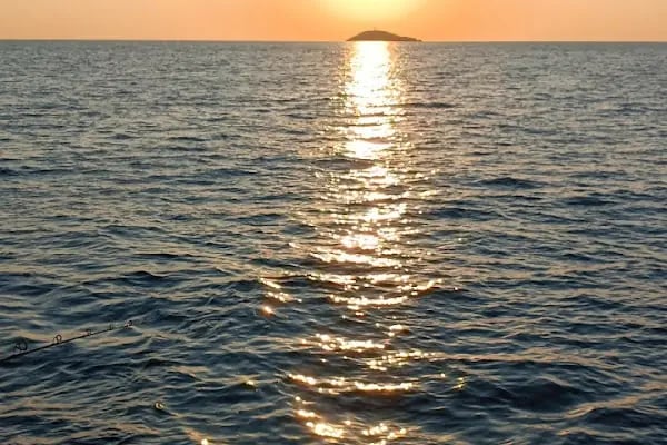 FOTO ÖZGÜR - Resim 17