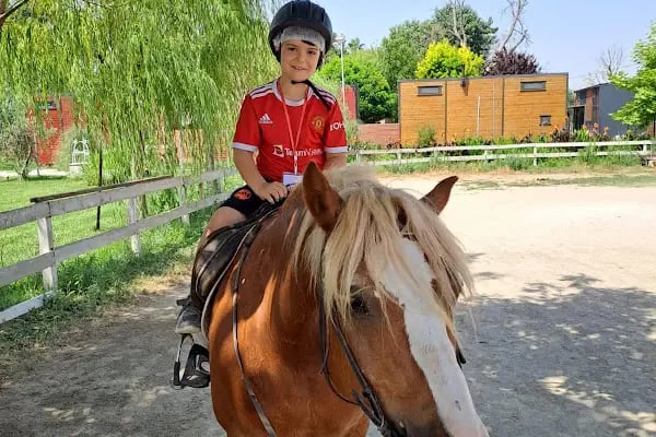 Minik Yıldızlar Anaokulu-Kurtuluş Şubesi - Resim 5