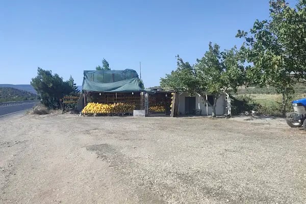 Salimin yeri kavun işletmesi - Resim 3