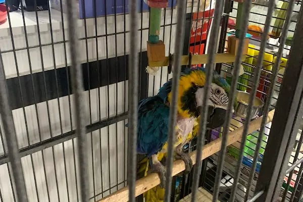 Öz Pet Shop Gross - Resim 3