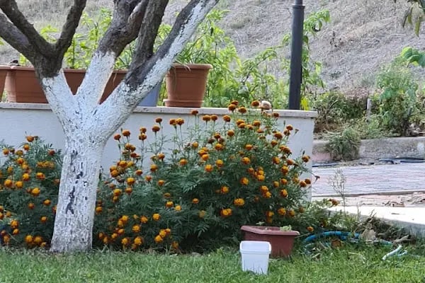 Ormankent Sitesi - Resim 16