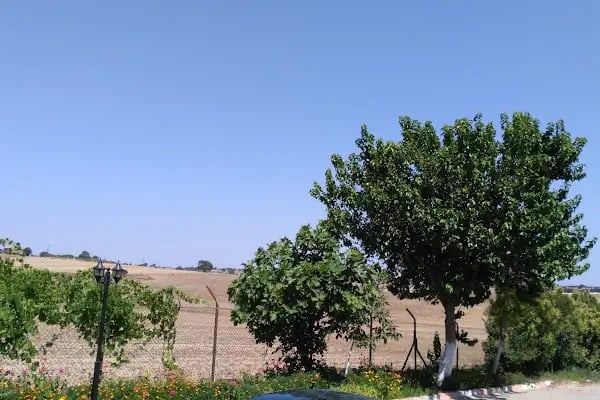 Ormankent Sitesi - Resim 7