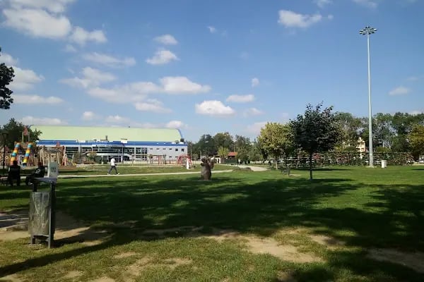 Sakarya Anka Yıldız Spor Yüzme Kursu - Resim 19