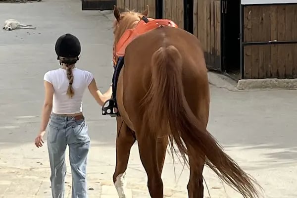 Ballıca atlı spor klübü - Resim 8
