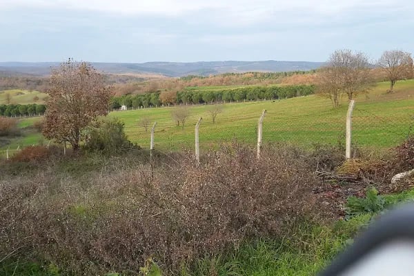 Ballıca atlı spor klübü - Resim 17