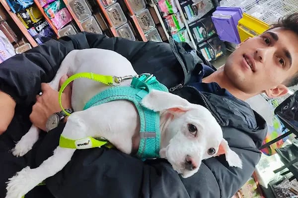 PET KUAFÖR çayırova Doğa Akvaryum petshop - Resim 8