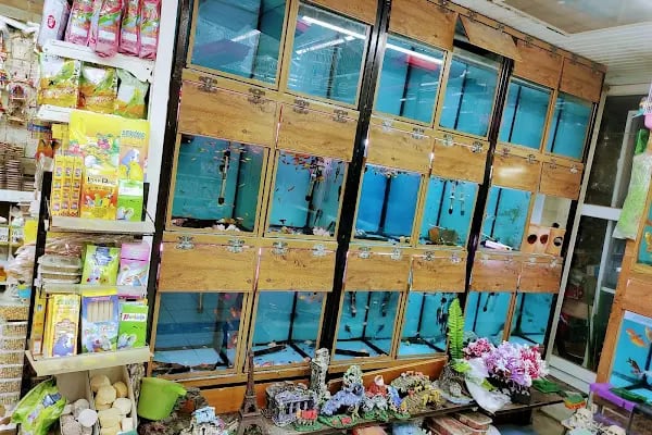 PET KUAFÖR çayırova Doğa Akvaryum petshop - Resim 14