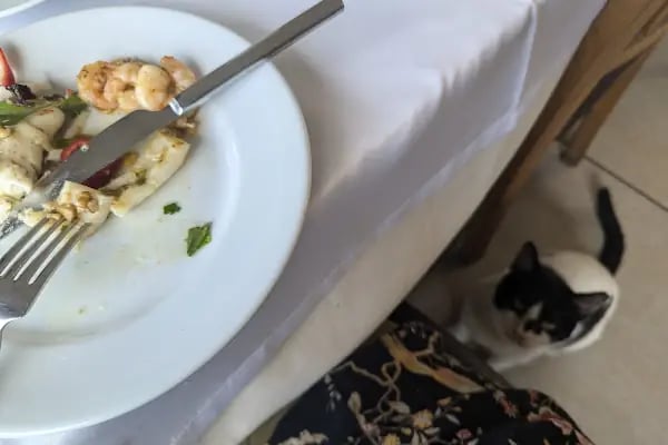 Fortunato Cafe&Restaurant - Resim 17