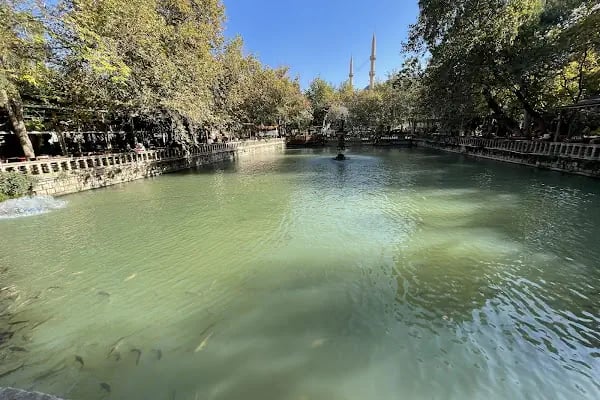 Rizvaniye Camii - Resim 15
