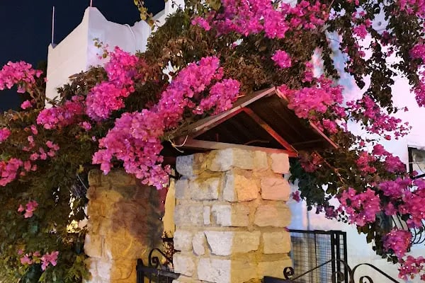 Hotel Paloma - Resim 16