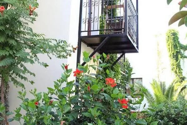 Hotel Paloma - Resim 5