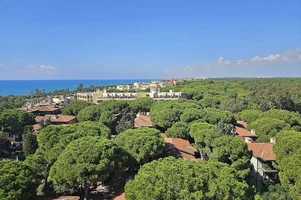 Hotel Paloma - Resim 12