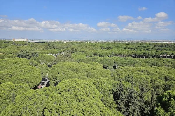 Hotel Paloma - Resim 17