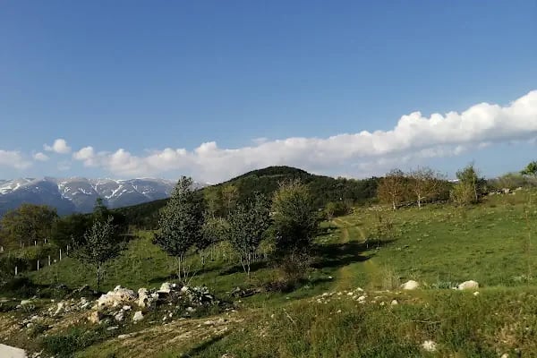 Akşehir Devlet Hastanesi Acil Servisi - Resim 4