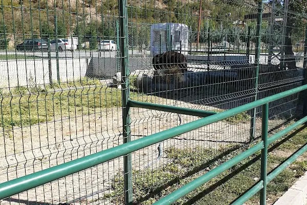 Üreğil Millet Bahçesi - Resim 7