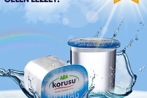 Korusu Gürsu - İsabey - Yenidoğan - Değirmenönü Su Bayii - Resim 6