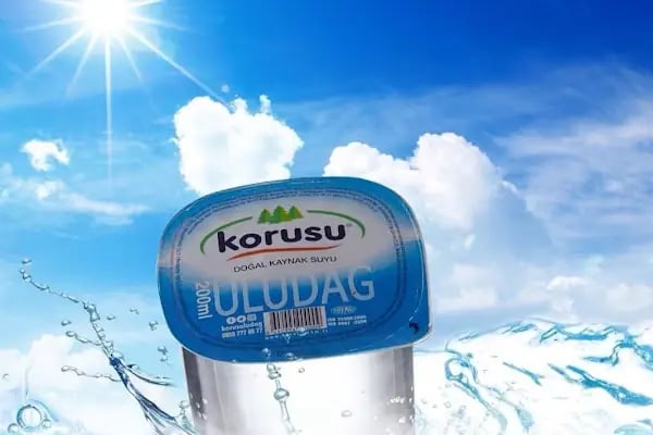 Korusu Gürsu - İsabey - Yenidoğan - Değirmenönü Su Bayii - Resim 9