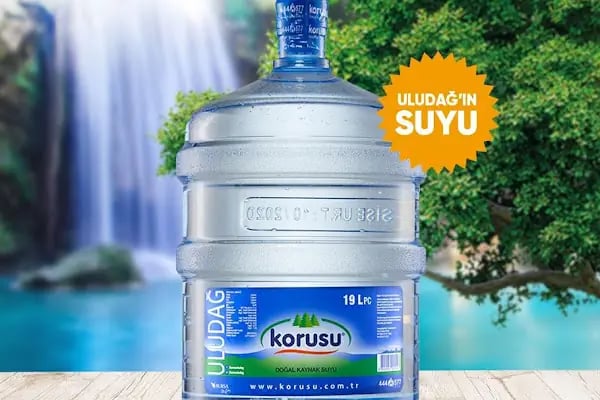 Korusu Gürsu - İsabey - Yenidoğan - Değirmenönü Su Bayii - Resim 3