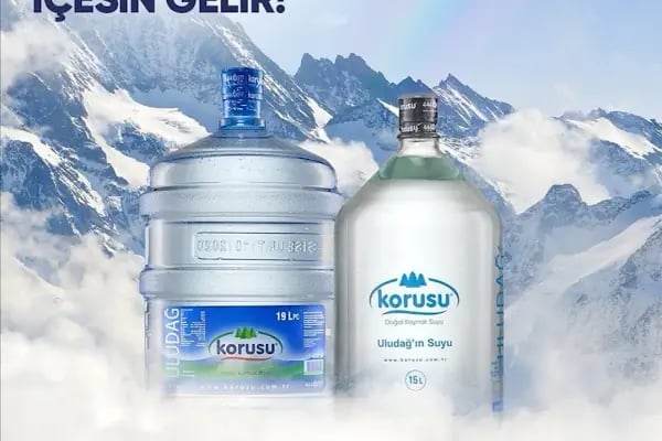 Korusu Gürsu - İsabey - Yenidoğan - Değirmenönü Su Bayii - Resim 8