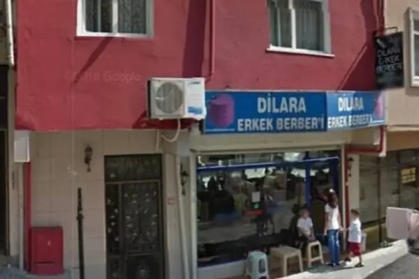 Dilarra Erkek Berberi - Resim 5
