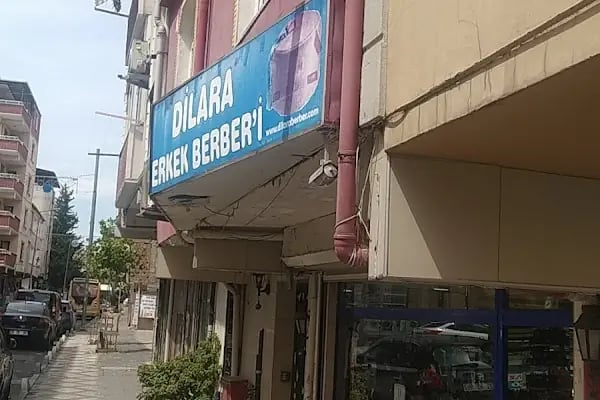Dilarra Erkek Berberi - Resim 3