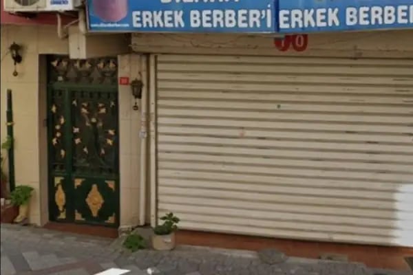 Dilarra Erkek Berberi - Resim 4