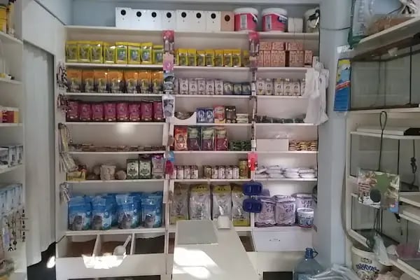 Kerem Akvaryum Petshop Kus Balik Galerisi - Resim 6