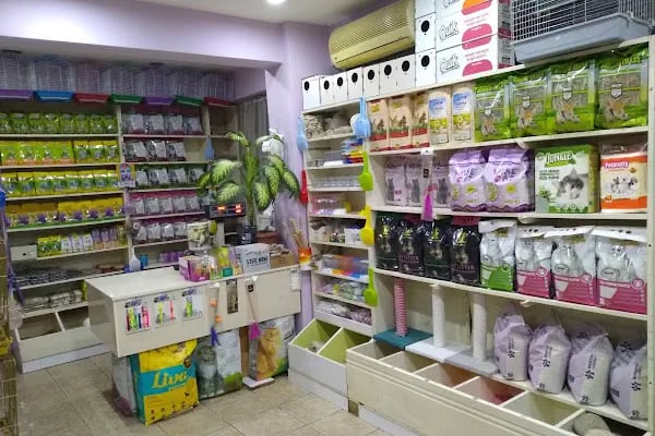 Kerem Akvaryum Petshop Kus Balik Galerisi - Resim 1