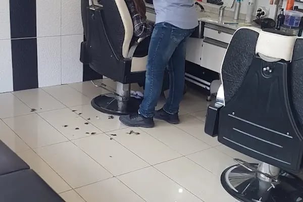 Erkek Berberi İlhan Çıvracı - Resim 3