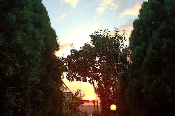 Kuzey Garden Düğün Davet Kır Mekanları - Resim 19