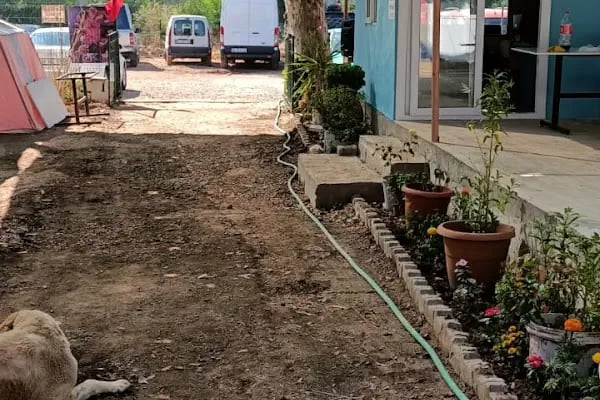 Çınar Camping - Resim 1