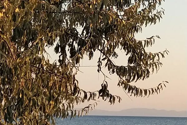 Çınar Camping - Resim 10