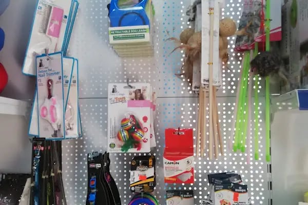 Foks Pet House - Resim 15