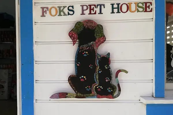 Foks Pet House - Resim 16
