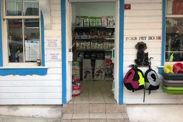 Foks Pet House - Resim 9