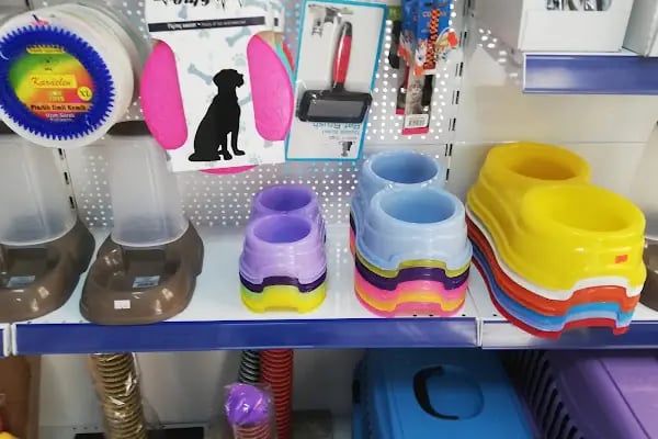 Foks Pet House - Resim 7