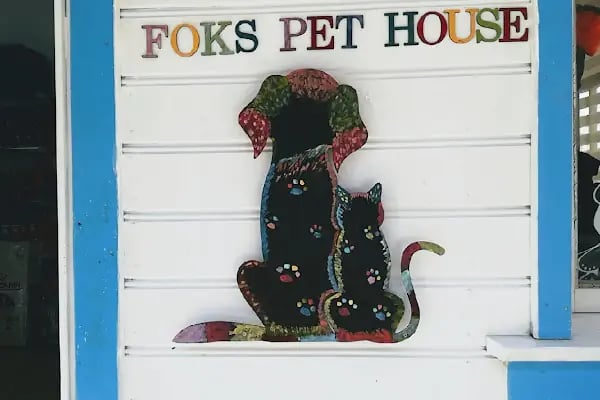 Foks Pet House - Resim 3