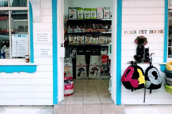 Foks Pet House - Resim 14
