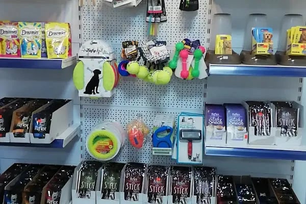 Foks Pet House - Resim 2