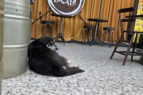 Pub Locale Balçova - Resim 12