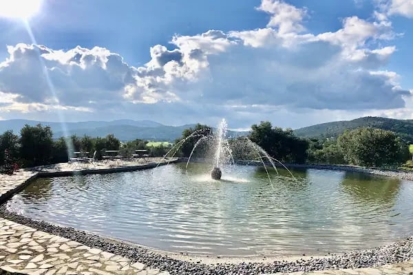 Karnas Vineyards - Resim 15