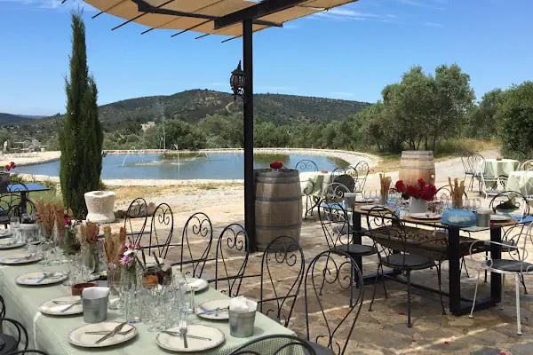 Karnas Vineyards - Resim 8