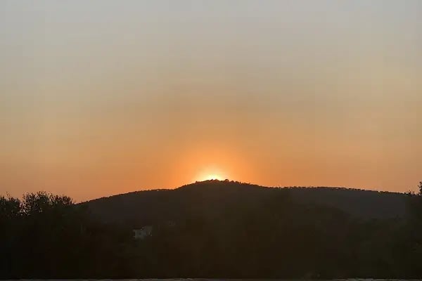 Karnas Vineyards - Resim 9