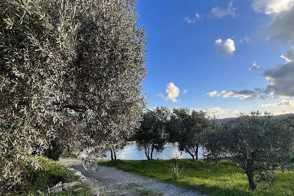 Karnas Vineyards - Resim 16