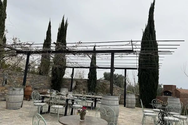 Karnas Vineyards - Resim 7