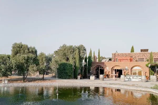 Karnas Vineyards - Resim 2
