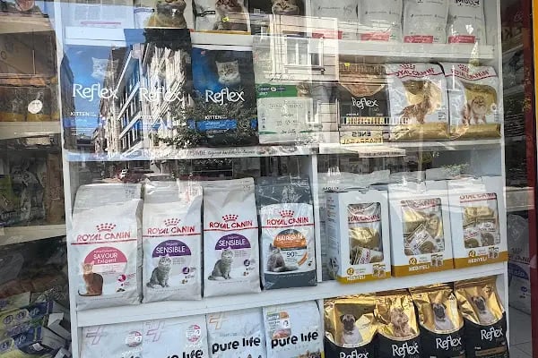 çınar petshop küçükçekmece - Resim 15