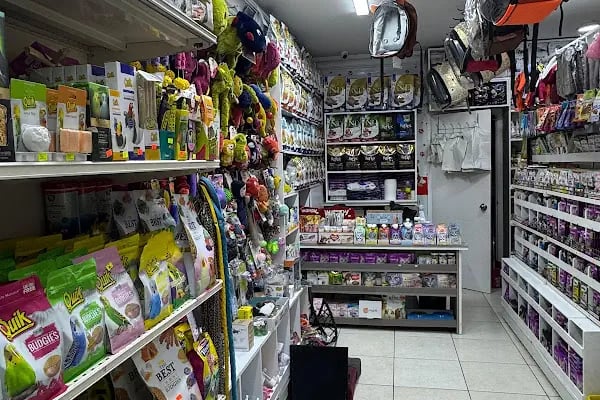 çınar petshop küçükçekmece - Resim 6