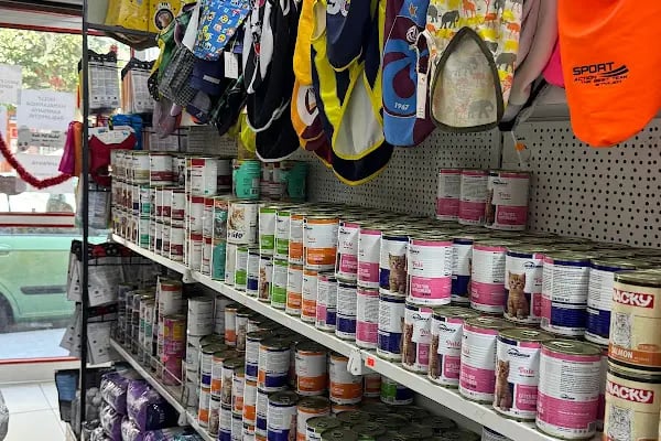 çınar petshop küçükçekmece - Resim 9